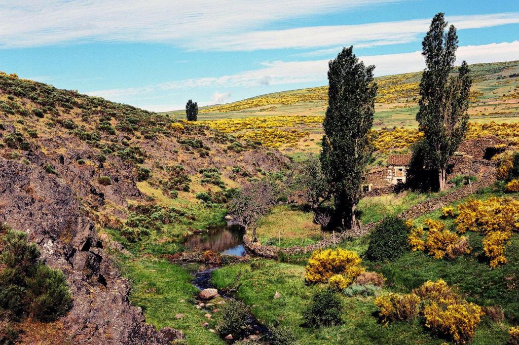 Hotel Rural La Dehesilla Barajas de Gredos Buitenkant foto
